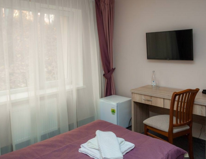 1-местный номер стандарт - Санаторий-профилакторий «Энергетик» Светлогорск