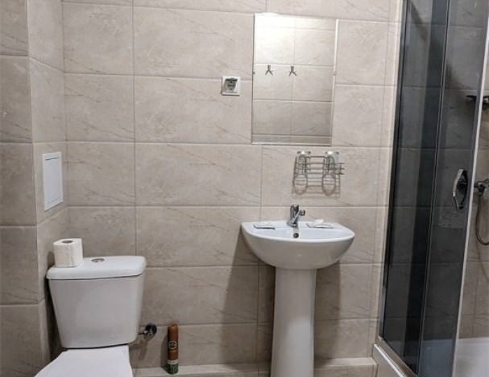 Номер стандарт с 1 двуспальной кроватью - Санаторий-профилакторий «Энергетик» Светлогорск